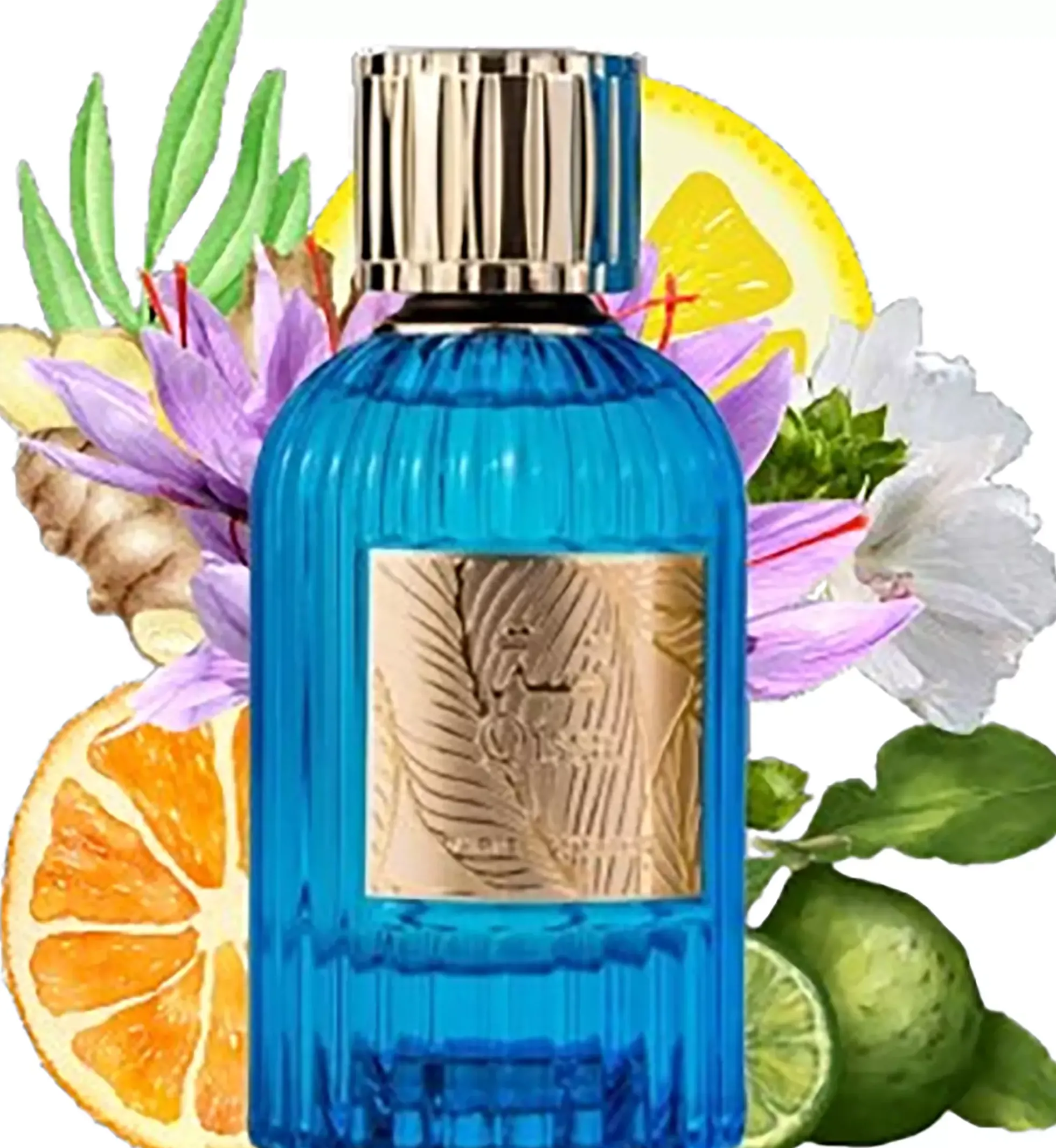 Paris Corner Qissa Blue Eau de Parfum 100 ml