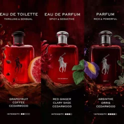 Ralph Lauren Polo Red Eau de Parfum 125 ml