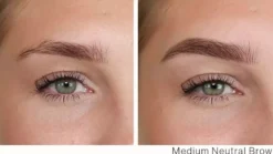 Rapide Brow Twist Refill Ash Soft Brown