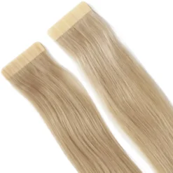 Rapunzel of SwedenClassic 4 Premium Tape Extensions Straight / Classic Tape 4 cm / 8 pieces 40 cm 10.7 Light Grey
