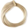 Rapunzel of Sweden Premium Tape Extensions Straight / Classic Tape 4 cm / 8 pieces 50 cm 10.7 Light Grey