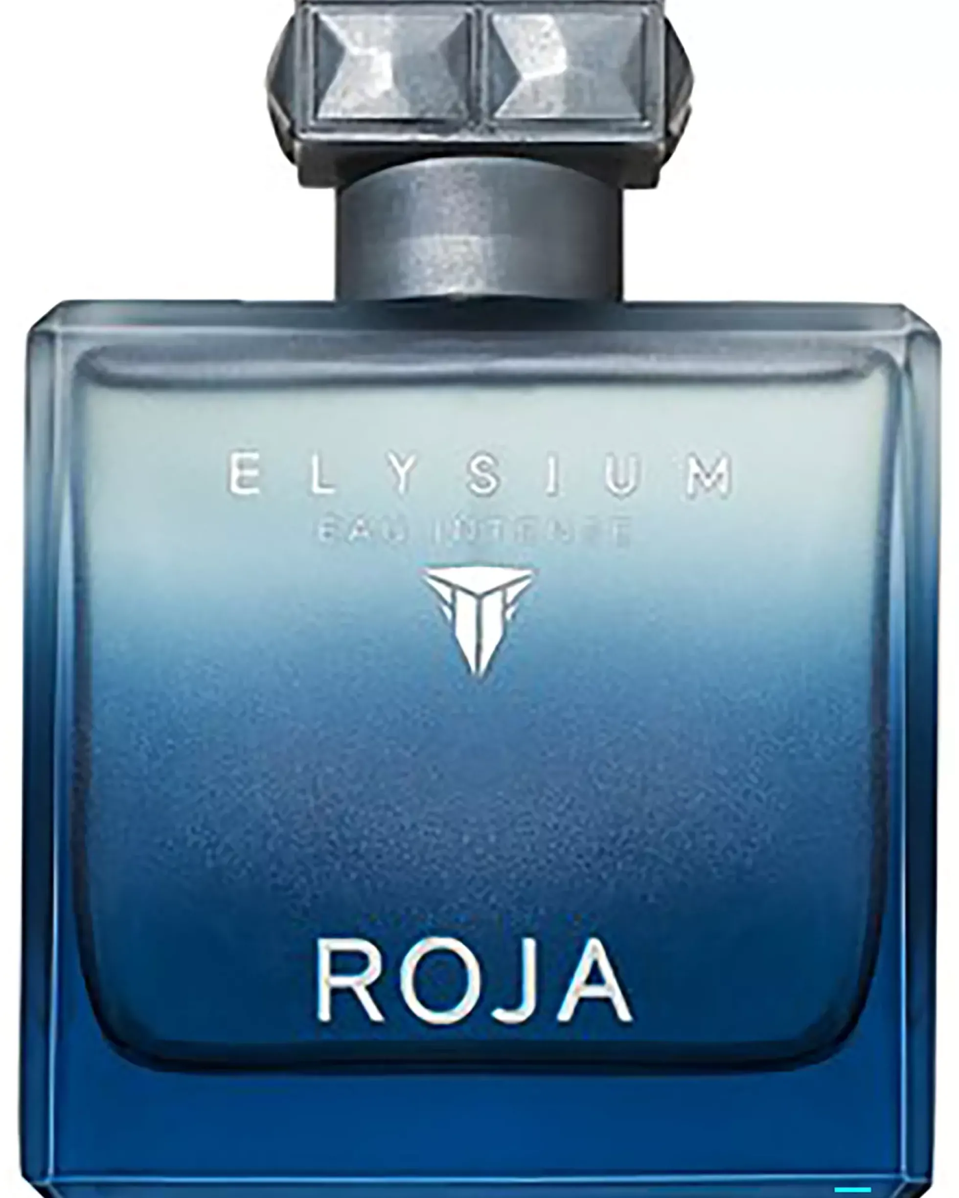 ROJA Elysium Eau Intense Pour Homme Eau de Parfum 100 ml