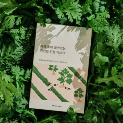 Round LabMugwort Calming Mask 10-Pack