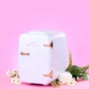 STYLPRO 4 Litre Beauty Fridge