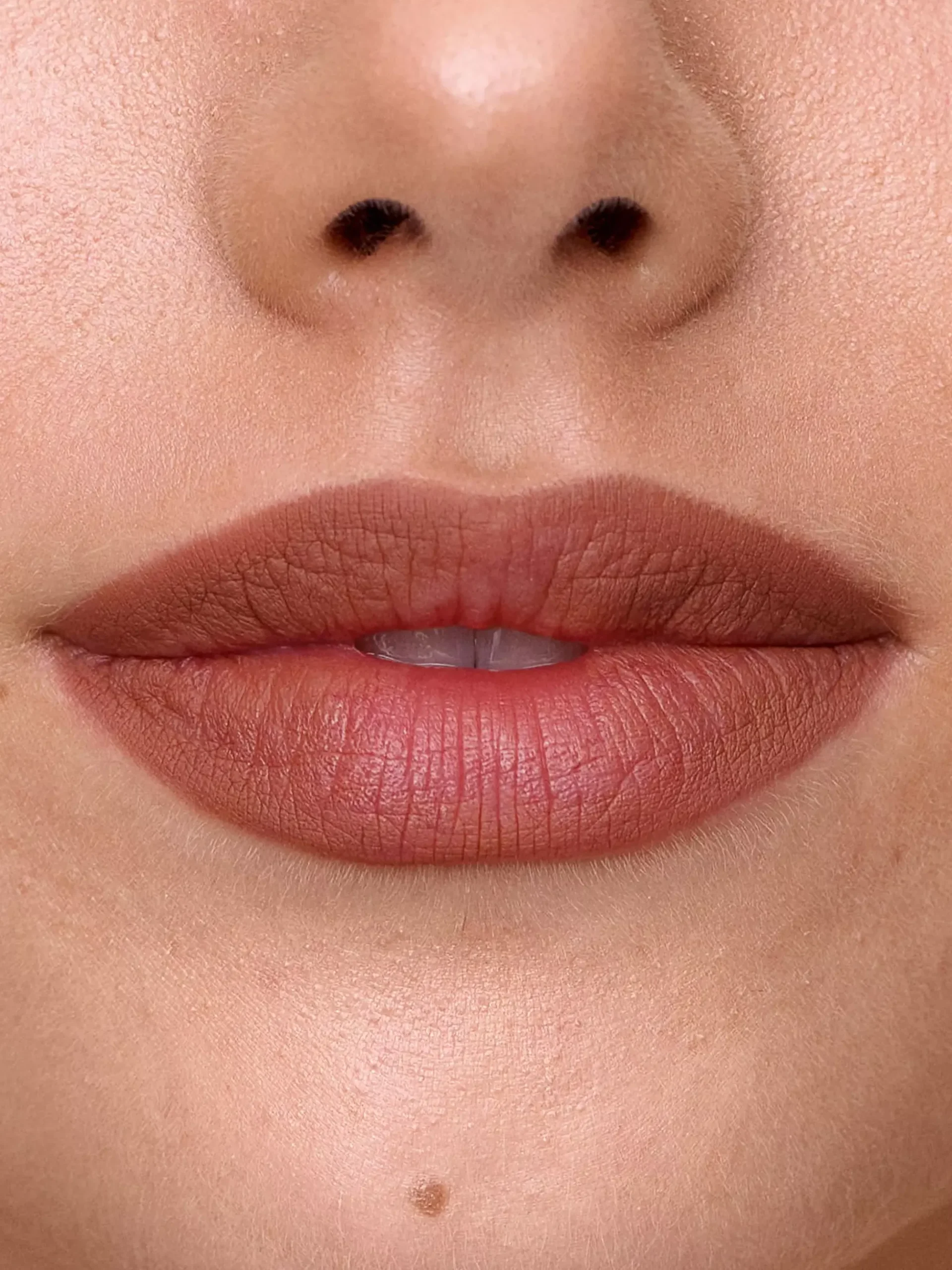 Sweedx Lydia Millen Lip Liner Rose Thorn