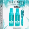 Wellness Premium ProductsDeep Hydrating Set (Shampoo 500 ml, Conditioner 500 ml, Vent Brush Small)