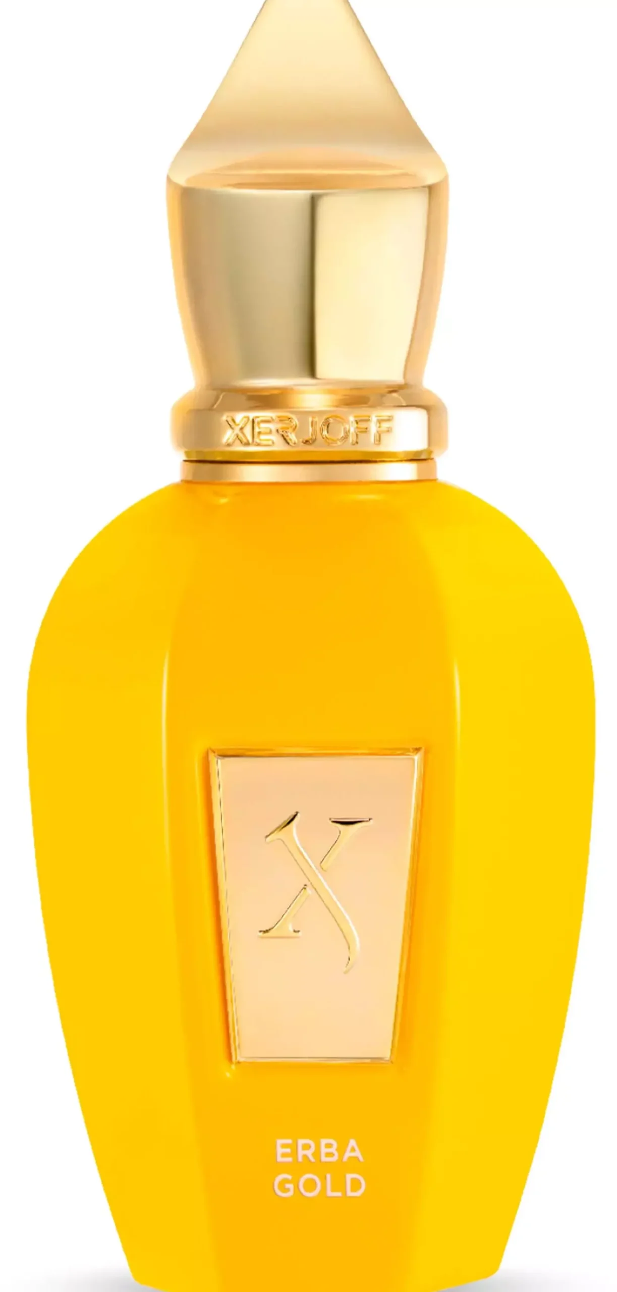 XERJOFF Erba Gold Eau de Parfum 100 ml